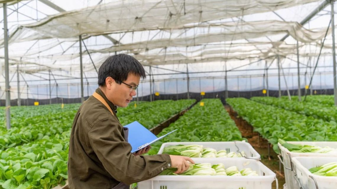 China adopta nueva ley para proteger tierras agrícolas