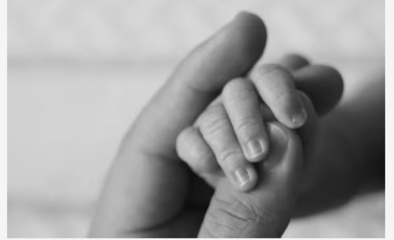  Qué factores habrían causado la muerte de 12 bebés en el hospital Universitario, según expertos