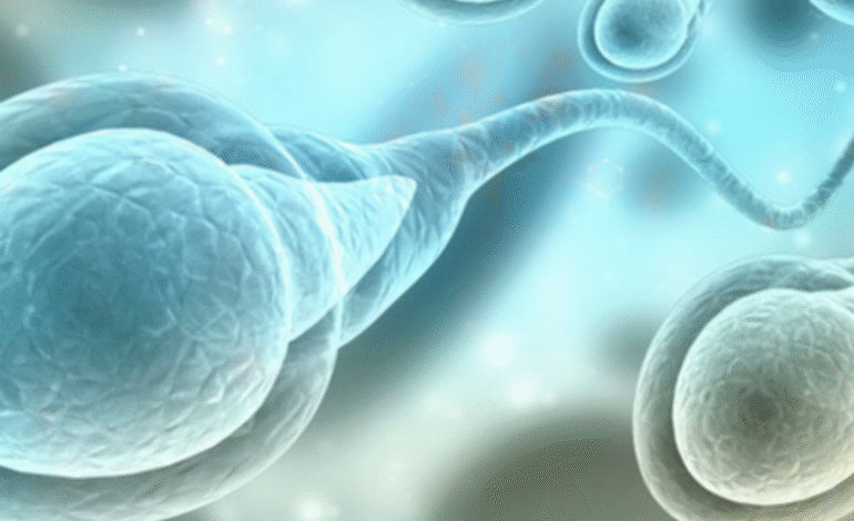  Los avances en técnicas de reproducción asistida permiten recuperar espermatozoides en pacientes con azoospermia