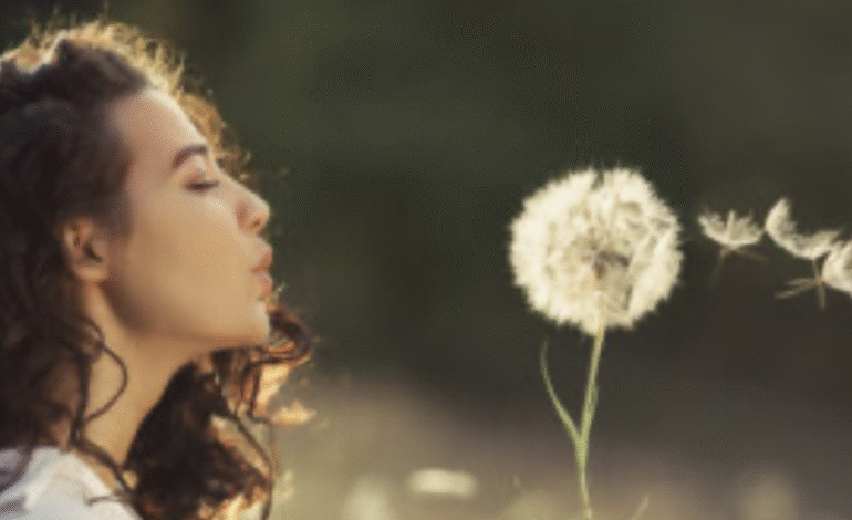  La simplicidad voluntaria mejora la felicidad y el bienestar, según estudio de la Universidad de Otago