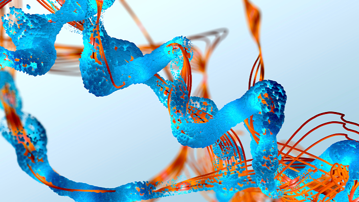  Científicos chinos usan modelo lingüístico de proteínas basado en IA para desvelar el misterio de la evolución de la vida.