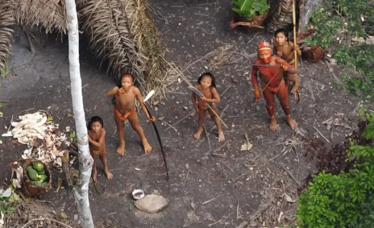 50% de los pueblos indígenas aislados desaparecerían en 10 años