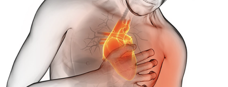  Actuar a tiempo en un infarto es «clave» para disminuir el daño en el tejido cardíaco