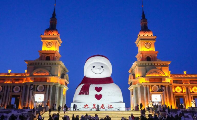  Comienza festival de hielo y nieve de la cereza chilena en el noreste de China 