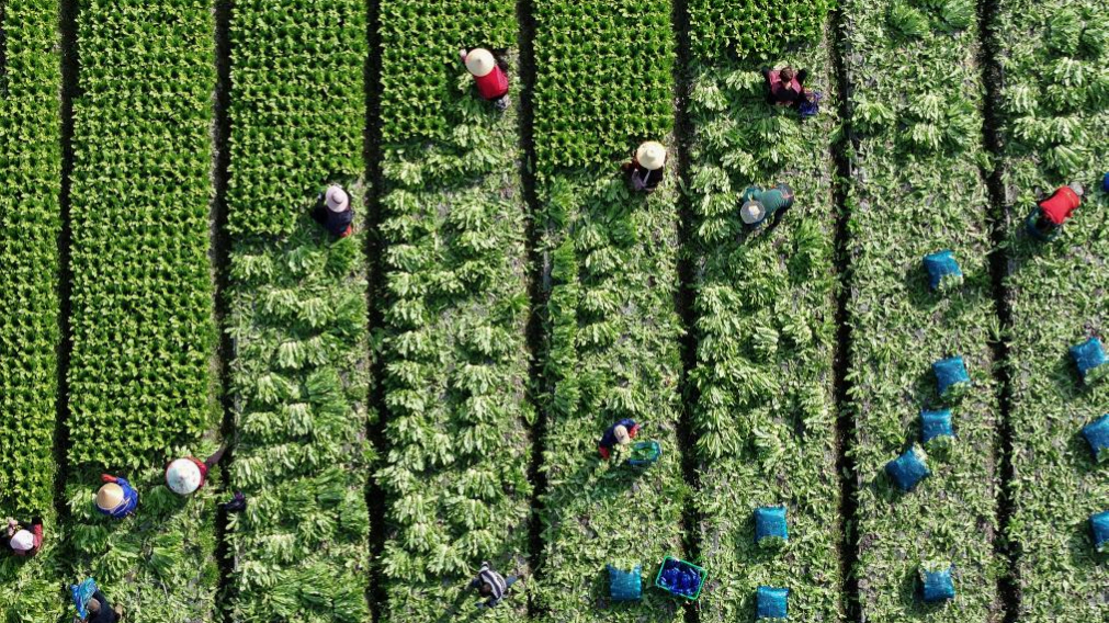 China registra la mejor calidad del aire de su historia en 2025 