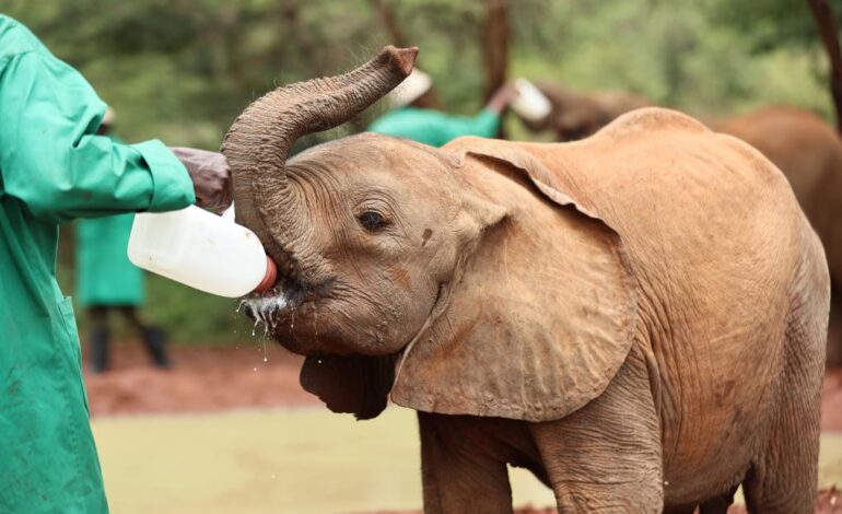  China mejora el bienestar infantil y refuerza la atención a menores