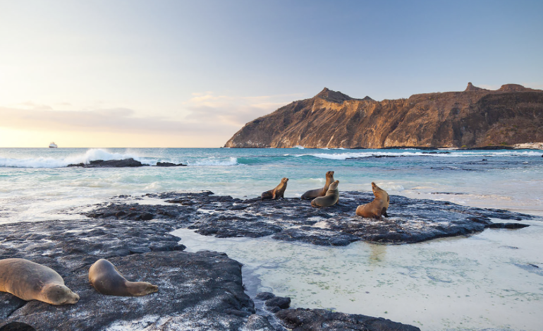  Ley minera de Ecuador sería peligrosa para ecosistema de Galápagos, alerta legisladora