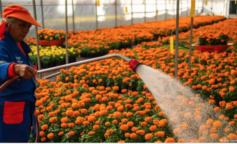  México: Sheinbaum publica reforma que reduce jornada laboral