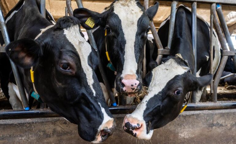  Comercio de Brasil con China registra sólido crecimiento 