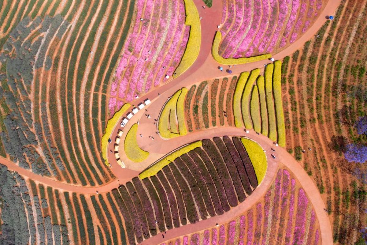 Beijing celebrará exposición «Maíz-oro-jaguar» sobre las antiguas civilizaciones maya y andina