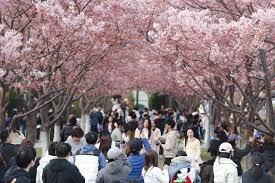  China freno de manera efectiva tráfico de niños y mujeres