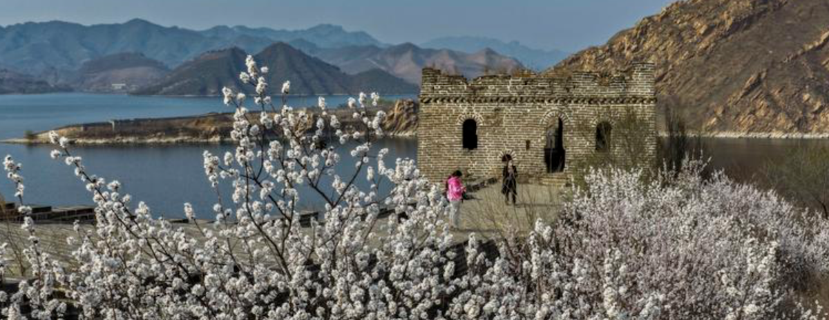 Encuesta revela mejor opinión mundial de China que de EEUU