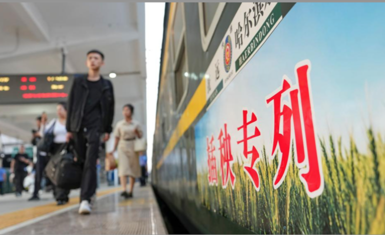  Los ingresos de la industria digital de China aumentan 12,9% en el primer trimestre de 2026