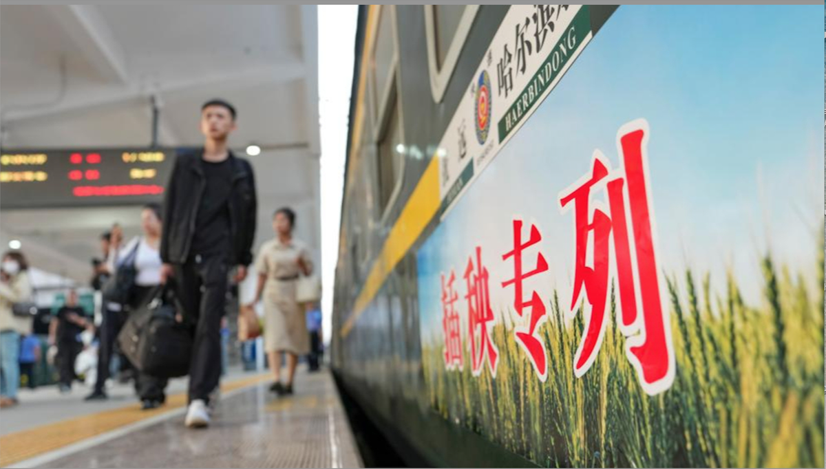 Los ingresos de la industria digital de China aumentan 12,9% en el primer trimestre de 2026