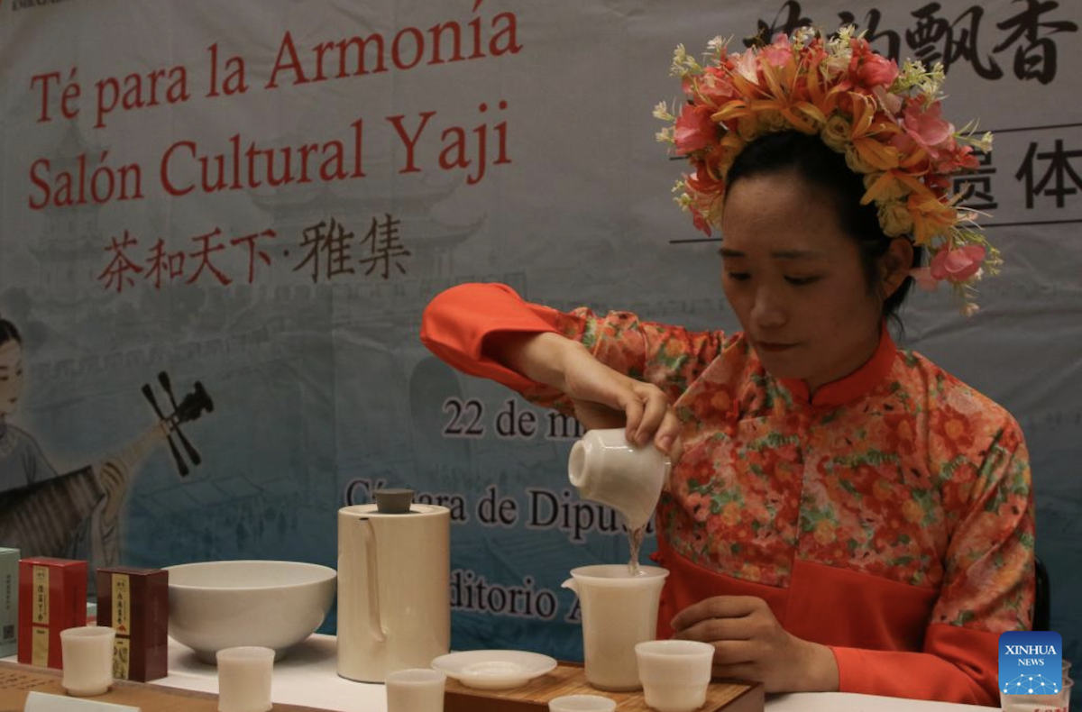 Lazos literarios entre China y América Latina: un vivo ejemplo del aprendizaje mutuo entre civilizaciones