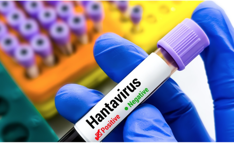  La mortalidad por hantavirus entre adolescentes alcanza el 50 %, revela nueva investigación