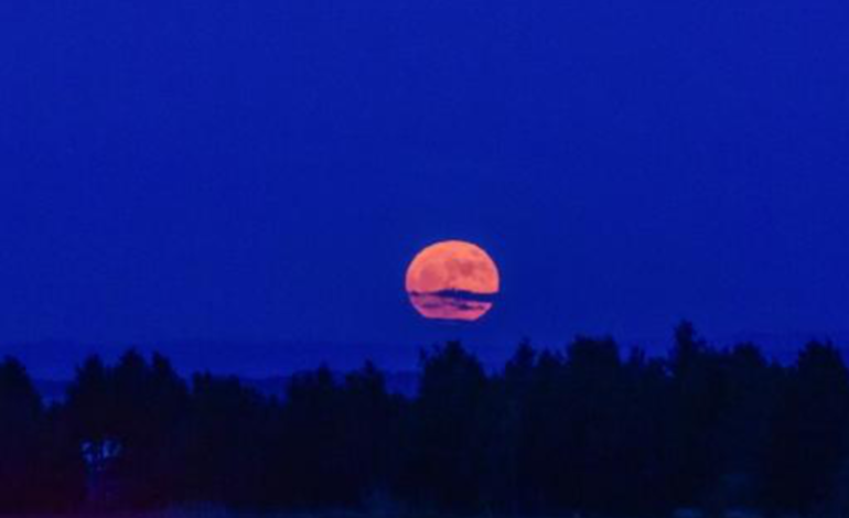  La impactante “Luna Azul” ilumina el cielo y deja imágenes espectaculares en China