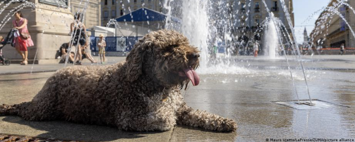 La ola de calor se recrudece en Europa, dos niños muertos