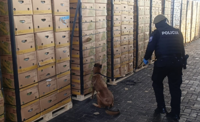  Ecuador.- Incautadas en Guayaquil 1,2 toneladas de cocaína impregnada en cajas de fruta con destino a España