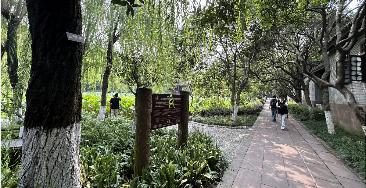 Reporte de think tank de Xinhua destaca importancia global de código ecológico de China