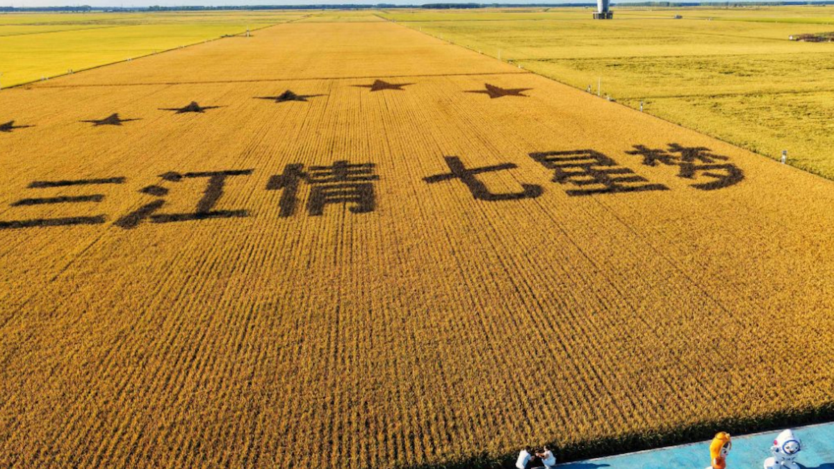Baterías de propulsión estrechan la cooperación entre China y España en la cadena industrial de nuevas energías