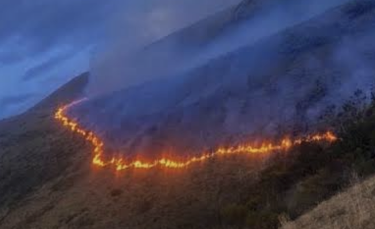  Incendio afecta cerca de 200 hectáreas de páramo en la Reserva Los Ilinizas