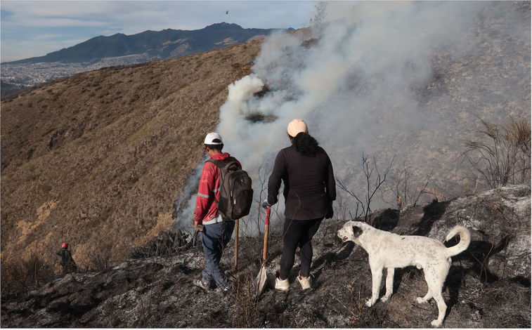  Incendios forestales en Quito: casi 1.300 hectáreas afectadas en 2026
