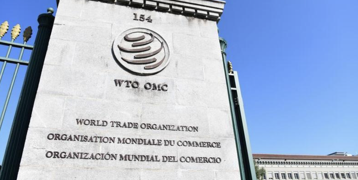 OMC advierte de que debilitamiento de normas comerciales podría reducir el PIB mundial en hasta un 10 %