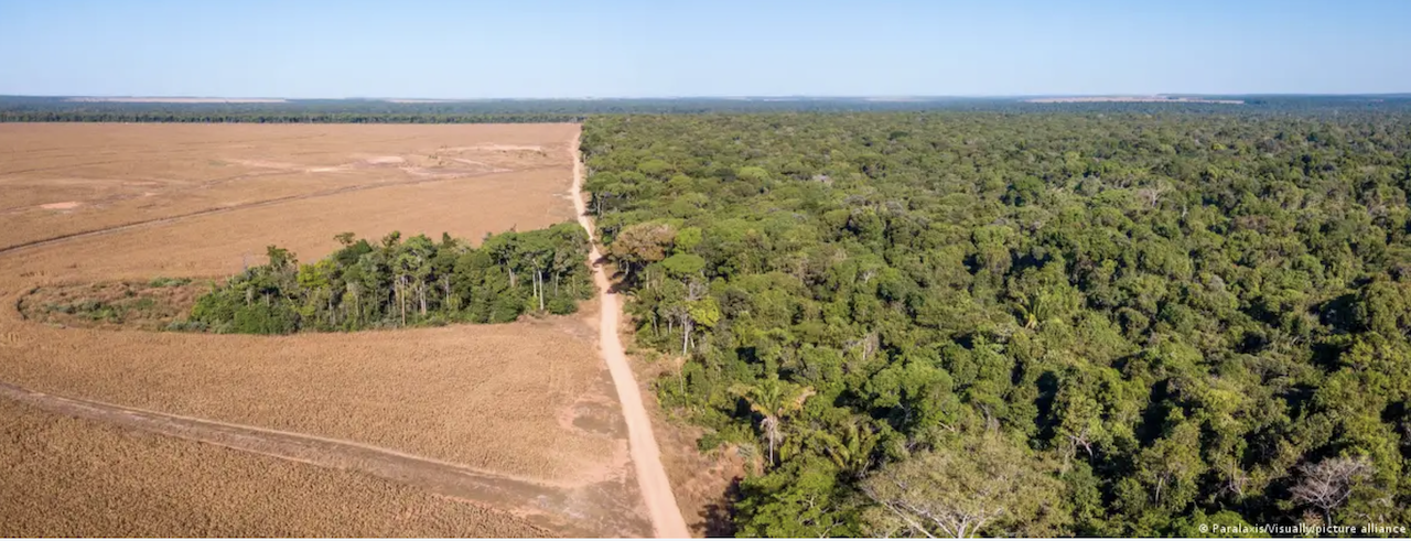 El futuro climático del planeta se juega en las elecciones de Brasil