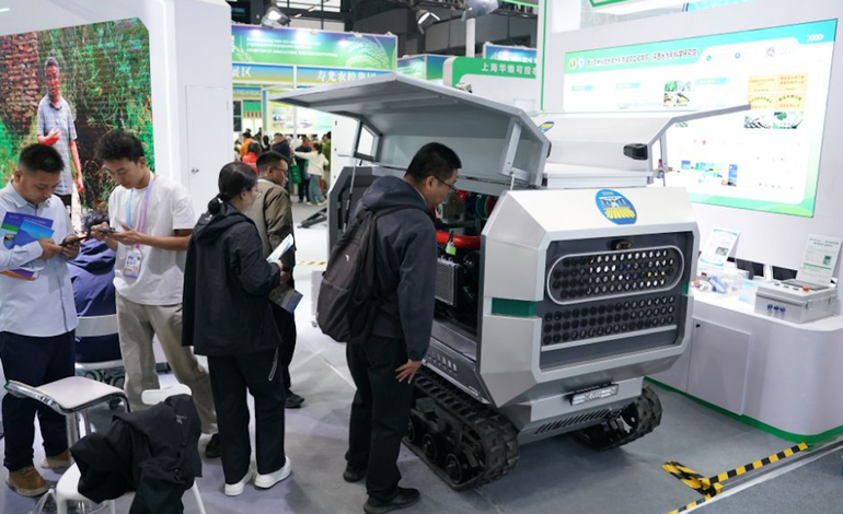  China reporta crecimiento estable de turismo nacional en primeros 9 meses de 2026